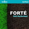 Simplot PP SurfPack Forté (Soil Surfactant)