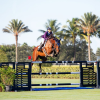 Capillary Hydroponics for Equestrian