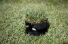 Rain Bird Sod Cup Kit